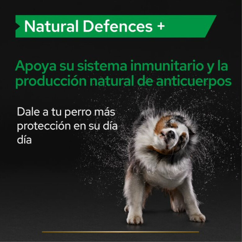 Pro Plan Natural Defences+ Suplemento para cães, , large image number null