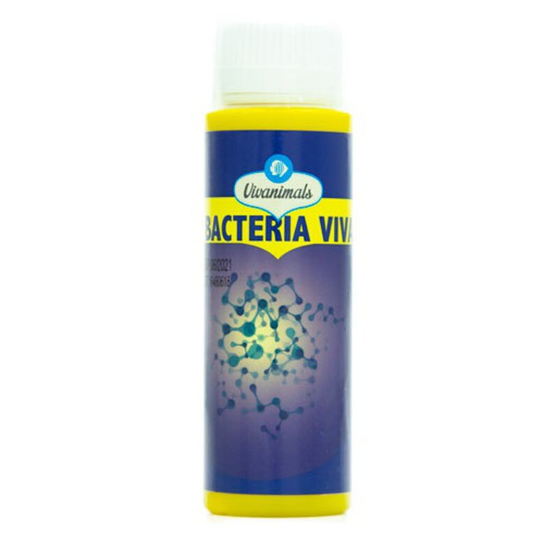Vivanimals bacteria viva para acuarios Imagem número 1 Vivanimals bacteria viva para acuarios Imagem número 1