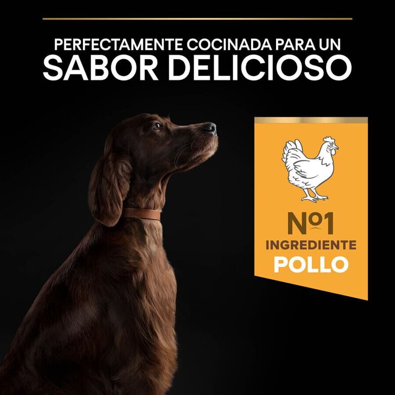 14 kg Pro Plan Large Athletic Adult Frango ração para cães,  Imagem número 7 14 kg Pro Plan Large Athletic Adult Frango ração para cães, , large Imagem número 7