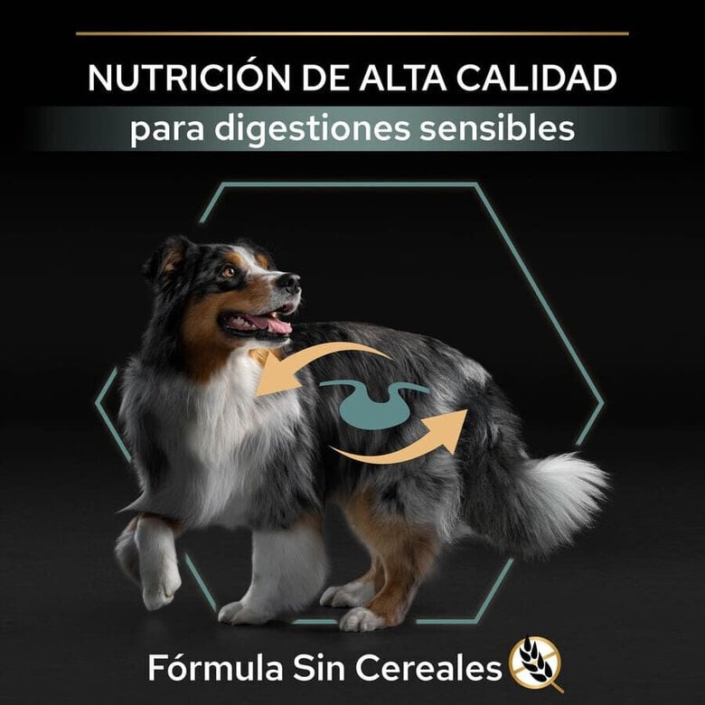 12 kg Pro Plan Sensitive Digestion Medium & Large Ração de peru para cães,  Imagem número 8 12 kg Pro Plan Sensitive Digestion Medium & Large Ração de peru para cães, , large Imagem número 8