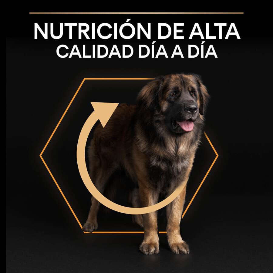 16.5 kg (14 + 2.5 kg gr&aacute;tis!) Pro Plan Large Robust Adult ra&ccedil;&atilde;o para c&atilde;es, , large Imagem n&uacute;mero 8