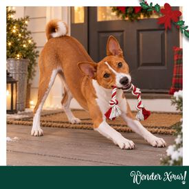 Wonder Christmas Corda em Forma de Rebu&ccedil;ado Brinquedo para c&atilde;es