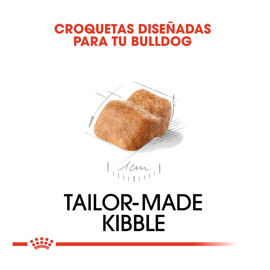 Royal Canin Puppy Bulldog ra&ccedil;&atilde;o para c&atilde;es, , large Imagem n&uacute;mero 5