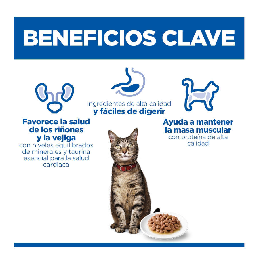 85 g Hill's Science Plan Adult Vitela Saqueta em Molho para gatos, , large Imagem n&uacute;mero 4