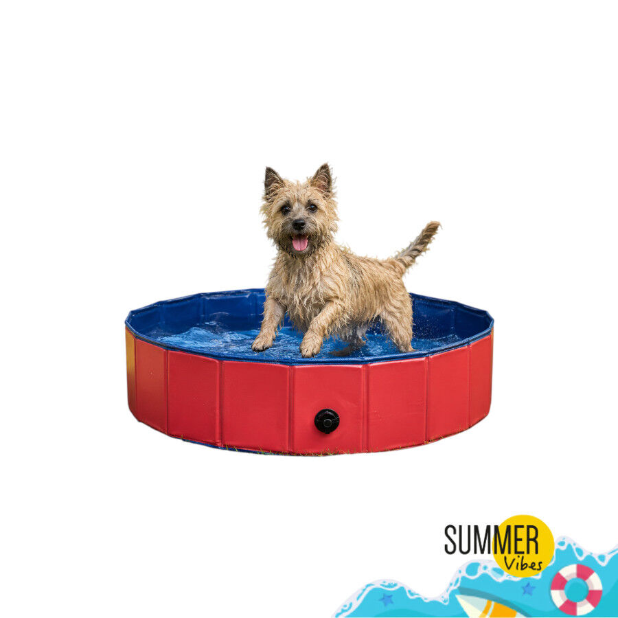 Summer Vibes Fresh Pool Piscina Vermelha para c&atilde;es, , large Imagem n&uacute;mero 7