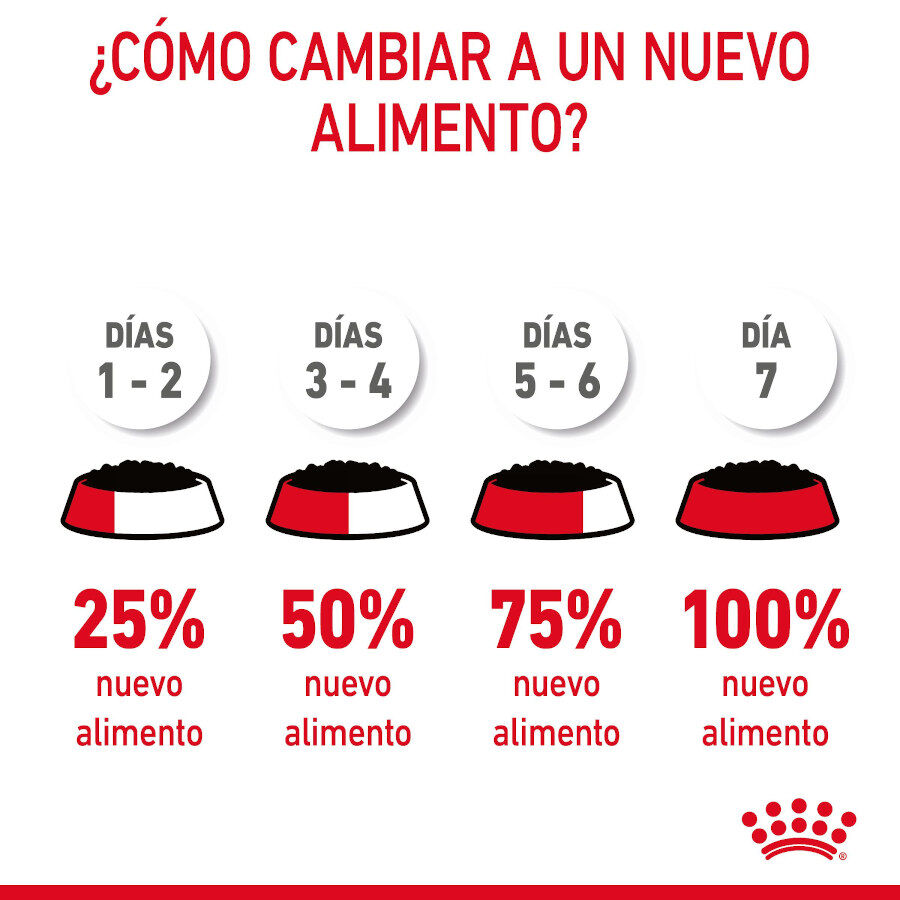 85 g Royal Canin Urinary Care Saquetas em Gelatina para Gatos, , large Imagem n&uacute;mero 4