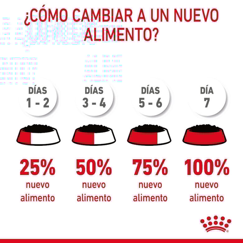 85 g Royal Canin Urinary Care Saquetas em Gelatina para Gatos,  Imagem número 4 85 g Royal Canin Urinary Care Saquetas em Gelatina para Gatos, , large Imagem número 4