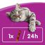 3 sticks Whiskas Sticks Snacks Frango para Gatos , , large Indicador imagem número 2