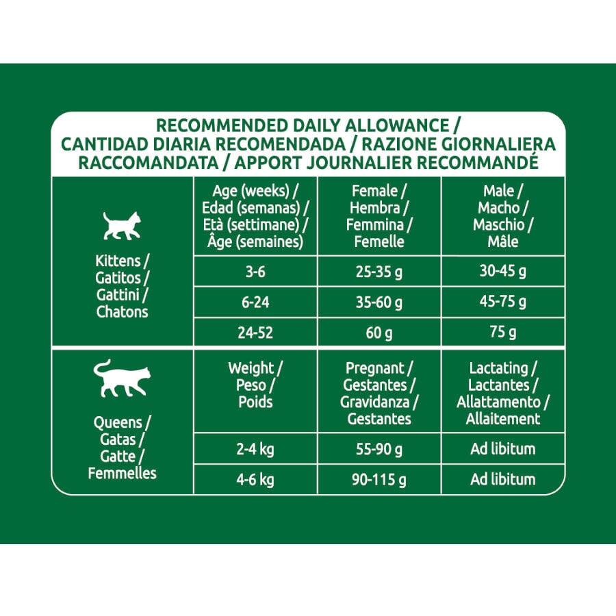 1.5 kg Libra Kitten Frango ra&ccedil;&atilde;o para gatos, , large Imagem n&uacute;mero 4