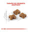 10 kg Royal Canin Kitten ração para gatos, , large Indicador imagem número 4