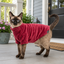 Gotoo Camisola Polar Vermelha para gatos, , large Indicador imagem n&uacute;mero 1
