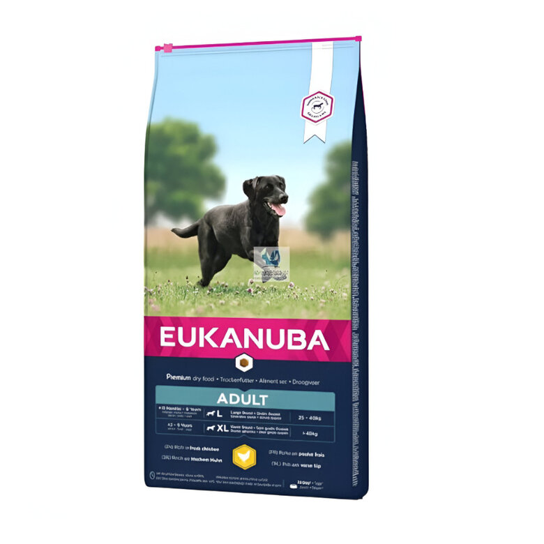 15 kg Eukanuba Adult Large Breed Frango ração para cães,  Imagem número 3 15 kg Eukanuba Adult Large Breed Frango ração para cães, , large Imagem número 3