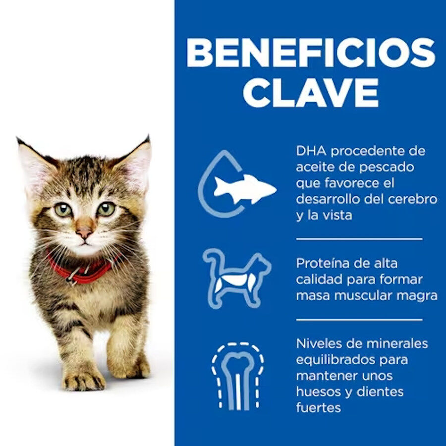 12 saquetas x 85 g Hill's Science Plan Kitten Frango e Peru em Molho Sach&ecirc; para Gatos, , large Imagem n&uacute;mero 2