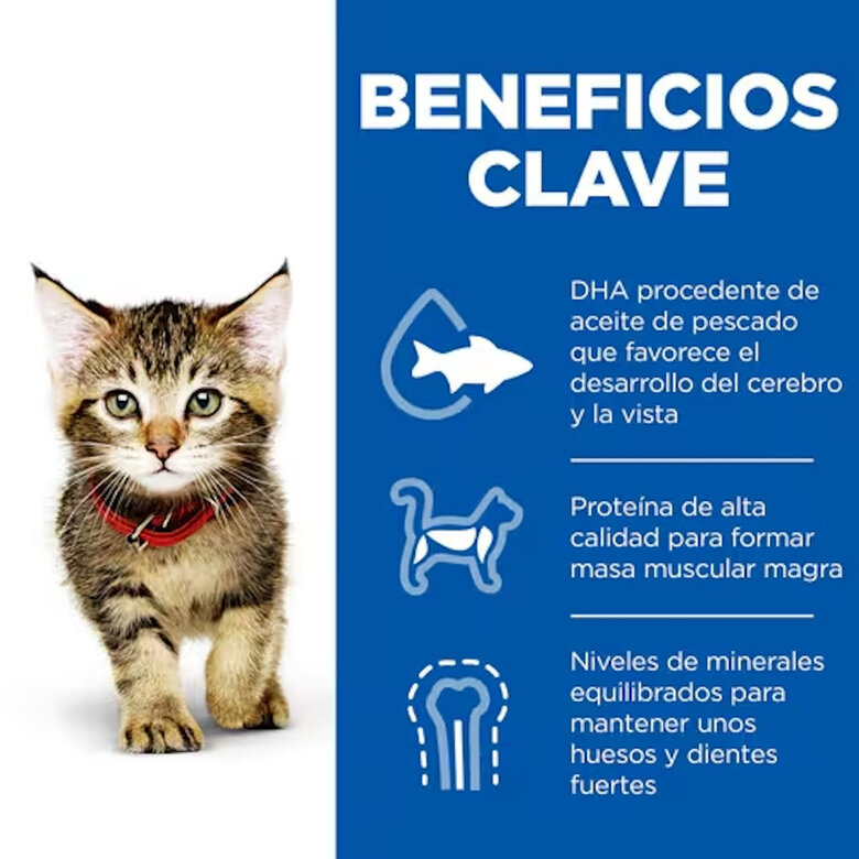 12 saquetas x 85 g Hill's Science Plan Kitten Frango e Peru em Molho Sachê para Gatos,  Imagem número 2 12 saquetas x 85 g Hill's Science Plan Kitten Frango e Peru em Molho Sachê para Gatos, , large Imagem número 2