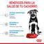 15 kg Royal Canin Puppy Maxi ração para cães, , large Indicador imagem número 6