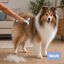 Bloob Escova de remo&ccedil;&atilde;o de subpelo para c&atilde;es, , large Indicador imagem n&uacute;mero 2