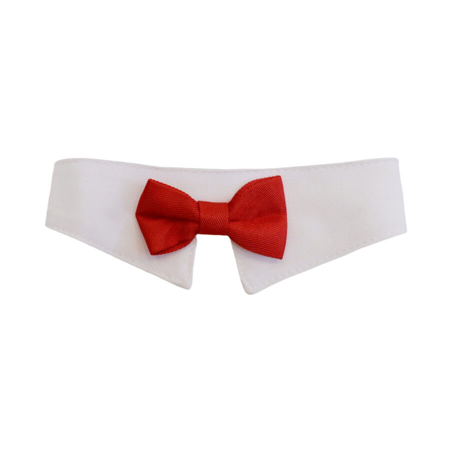 Gotoo La&ccedil;o vermelho para gatos, , large Imagem n&uacute;mero 1