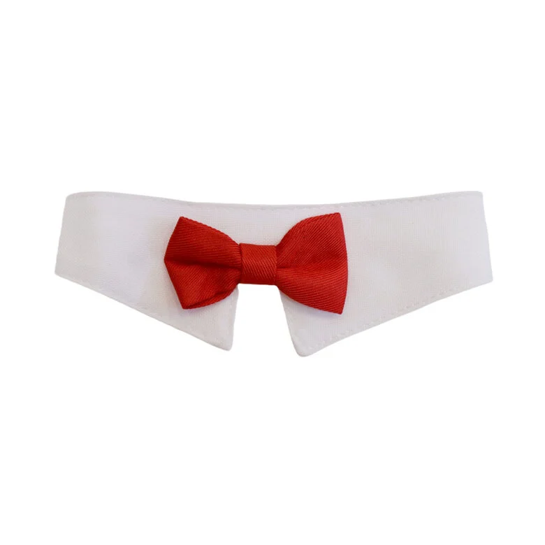 Gotoo Laço vermelho para gatos,  Imagem número 1 Gotoo Laço vermelho para gatos, , large Imagem número 1