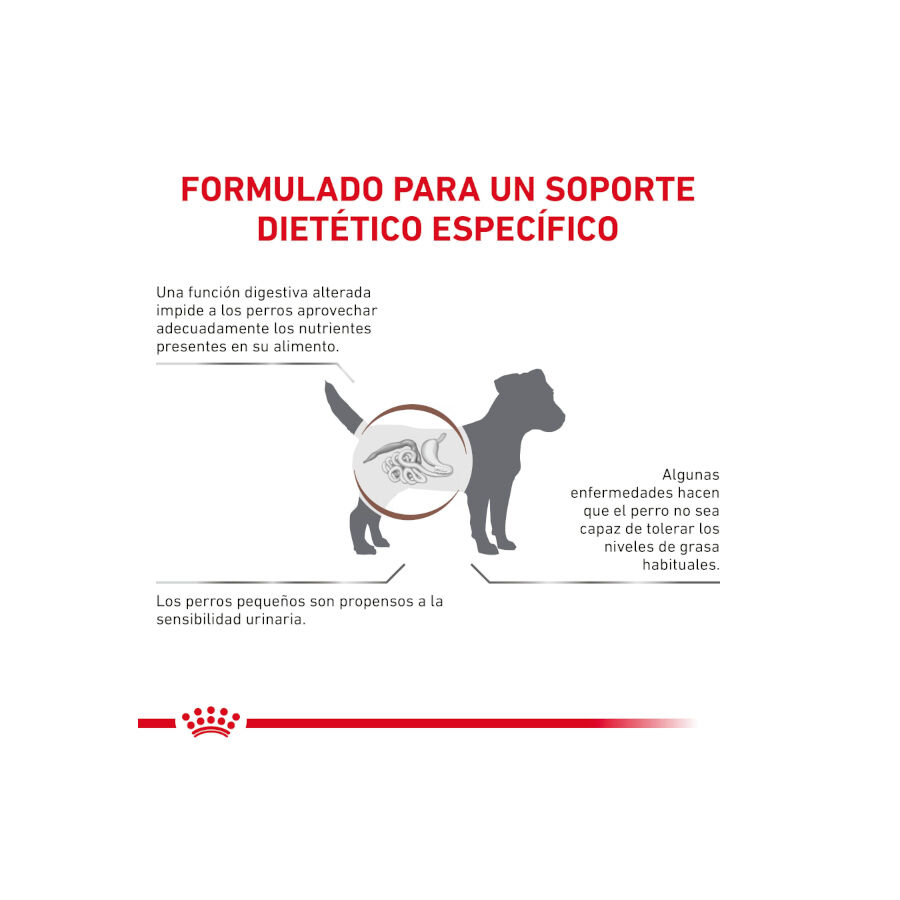 8 kg Royal Canin GastroIntestinal Low Fat Ra&ccedil;&atilde;o para c&atilde;es pequenos, , large Imagem n&uacute;mero 2