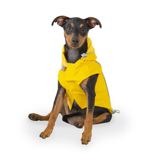 Outech Fisher Capa de chuva amarela para cães