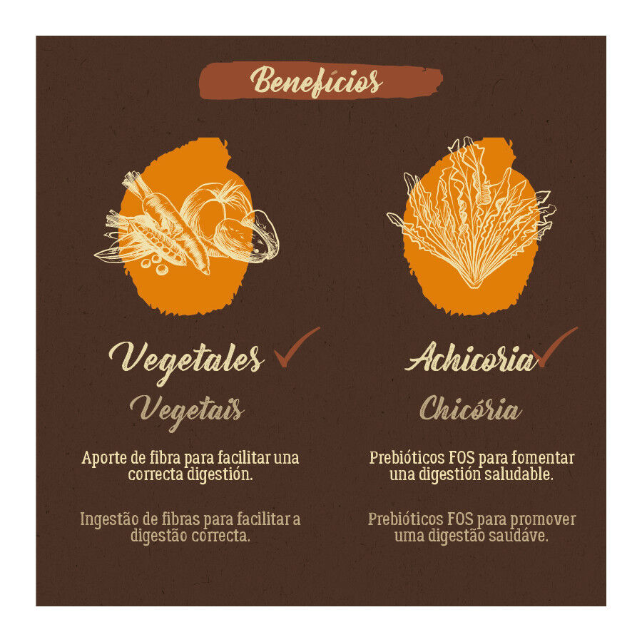 12 kg True Origins Pure Grain Free Senior Ra&ccedil;&atilde;o de frango para c&atilde;es, , large Imagem n&uacute;mero 5