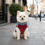 Gotoo Camisola Polar Azul para c&atilde;es, , large Indicador imagem n&uacute;mero 1