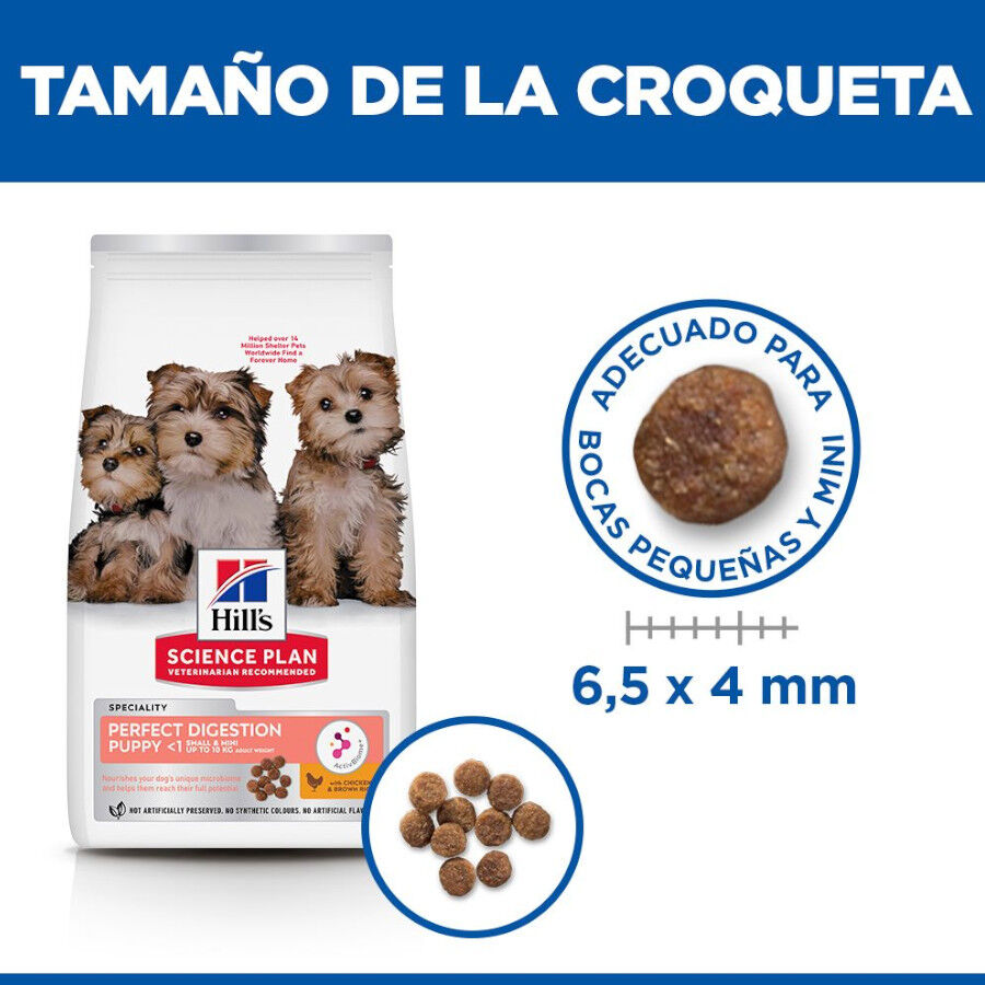 Hill's Puppy Science Plan Perfect Digestion SmalleMini Frango e Arroz ra&ccedil;&atilde;o, , large Imagem n&uacute;mero 4