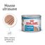 24 latas x 195 g Royal Canin Starter Mommy & Baby mousse latas para cães Pack poupança!, , large Indicador imagem número 1