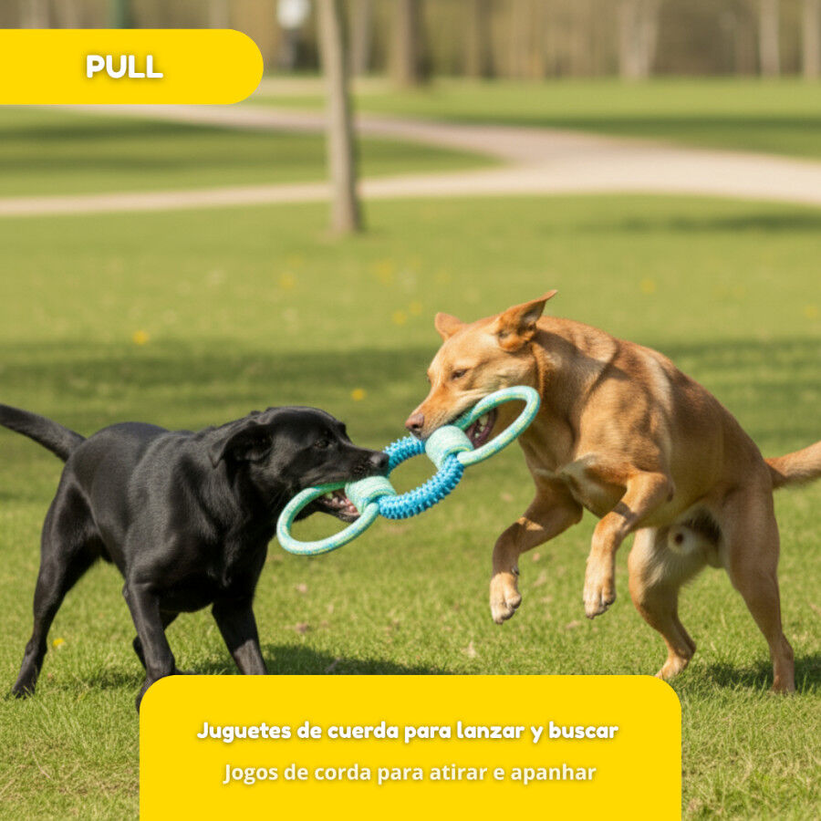 Tootoy! Pull Mordedor de borracha com tr&ecirc;s n&oacute;s para c&atilde;es, , large Imagem n&uacute;mero 5