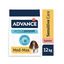 2 x 12 kg Advance Active Defense Medium Maxi Sensitive Salmão e Arroz ração para cães Pack poupança!, , large Indicador imagem número 2