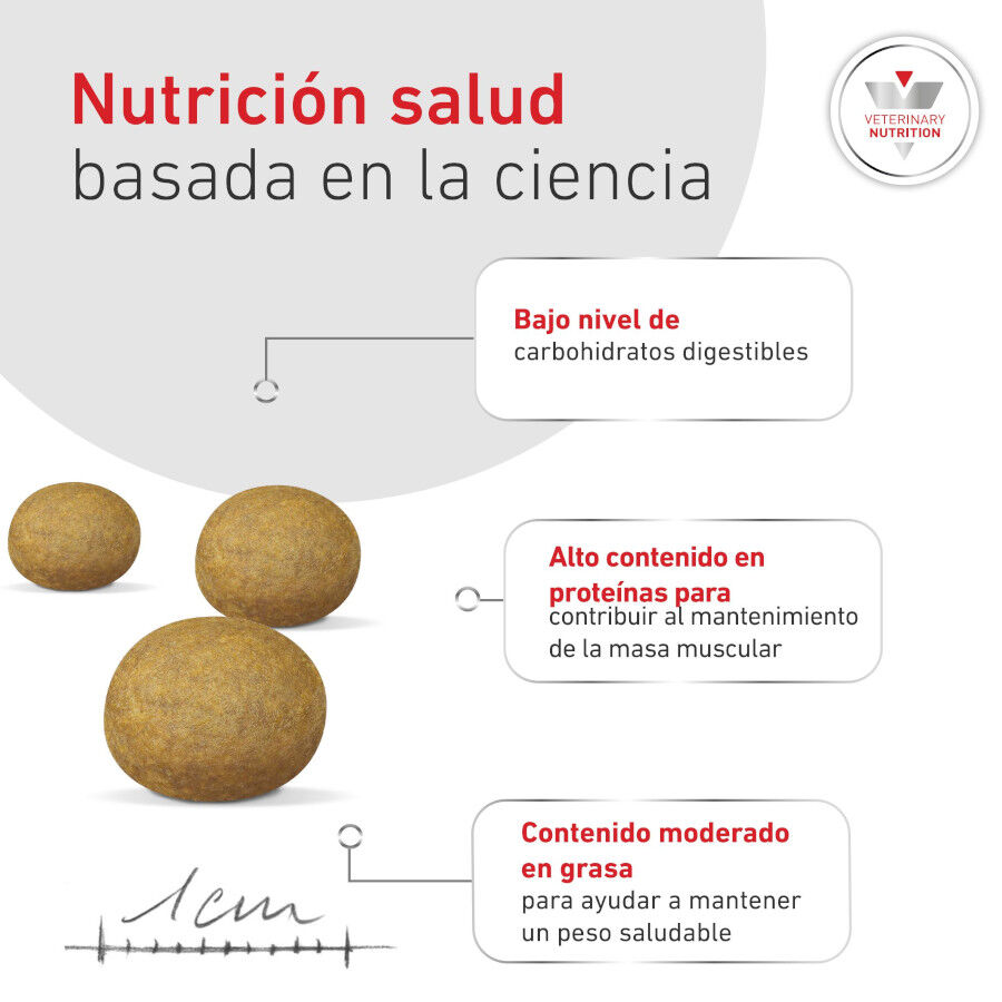 8 kg Royal Canin Glycobalance Ra&ccedil;&atilde;o para c&atilde;es, , large Imagem n&uacute;mero 6