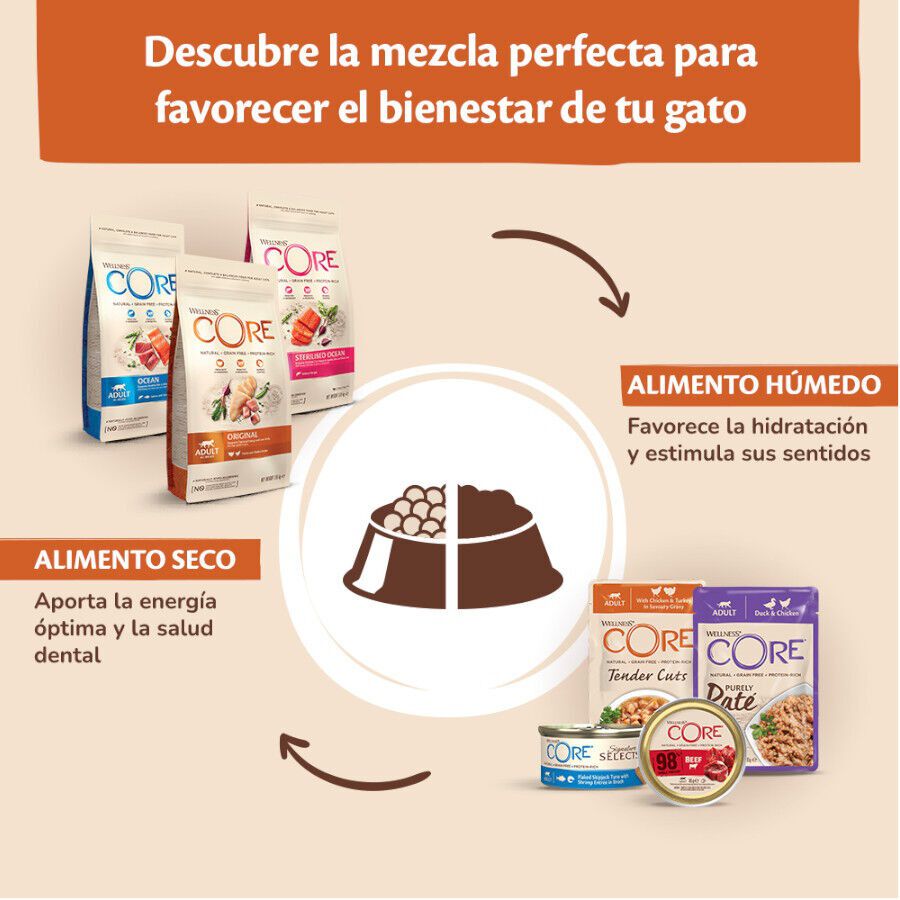 48 saquetas x 85 g  Wellness Core Tender Cuts frango e peru em molho saquetas para gatos Pack poupan&ccedil;a!, , large Imagem n&uacute;mero 5