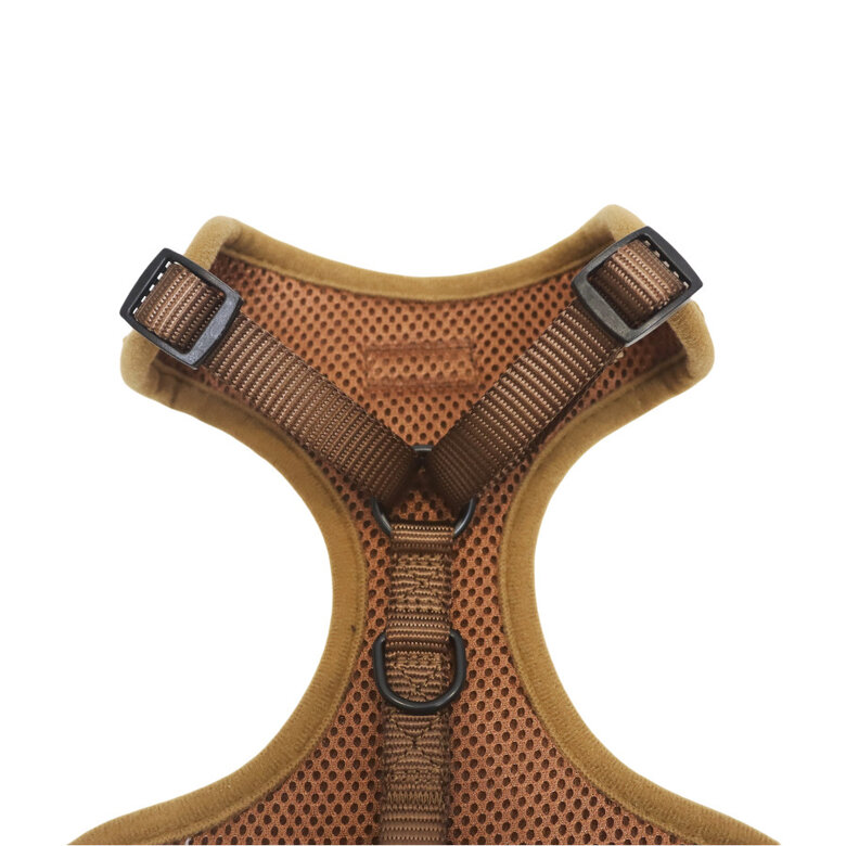 Gotoo Peitoral ajustável teddy castanho para cães,  Imagem número 5 Gotoo Peitoral ajustável teddy castanho para cães, , large Imagem número 5