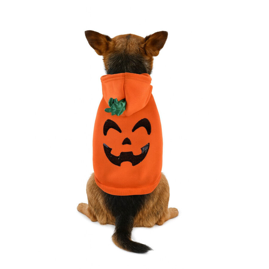 Nayeco Camisola de Halloween para c&atilde;es, , large Imagem n&uacute;mero 4