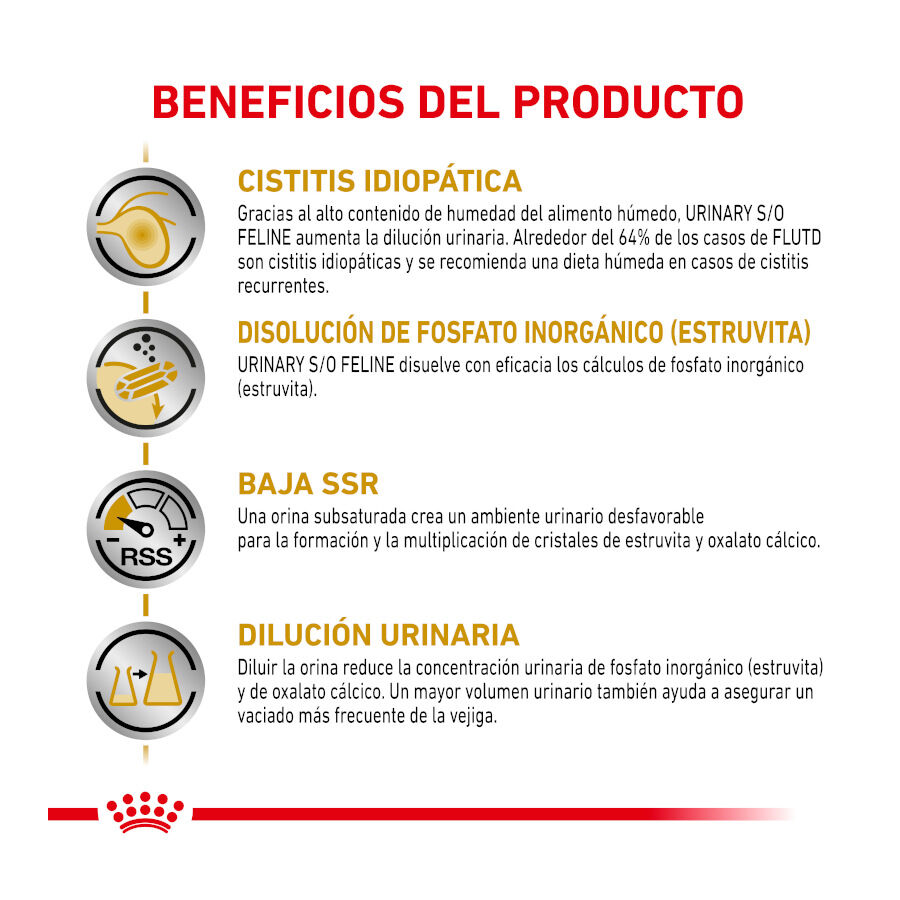 12 saquetas x 85 g Royal Canin Adult Veterinary Urinary pat&eacute; sobre para gatos, , large Imagem n&uacute;mero 3