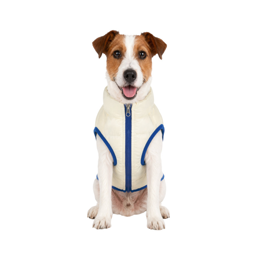 Goto Casaco Acolchoado Revers&iacute;vel para c&atilde;es, , large Imagem n&uacute;mero 7