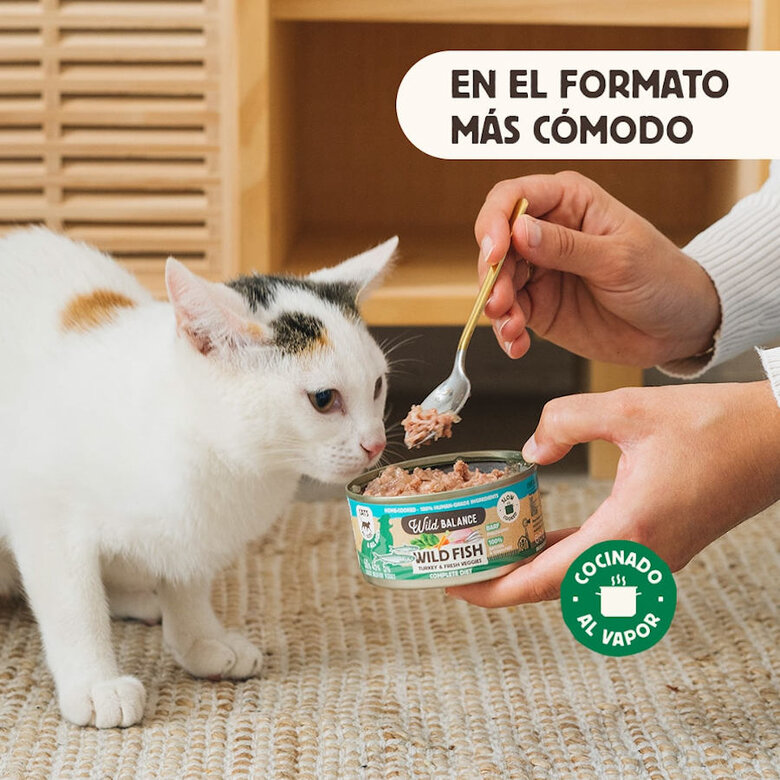 120 g Wild Balance BARF Alimento húmido de peixe e peru em lata para gatos,  Imagem número 3 120 g Wild Balance BARF Alimento húmido de peixe e peru em lata para gatos, , large Imagem número 3
