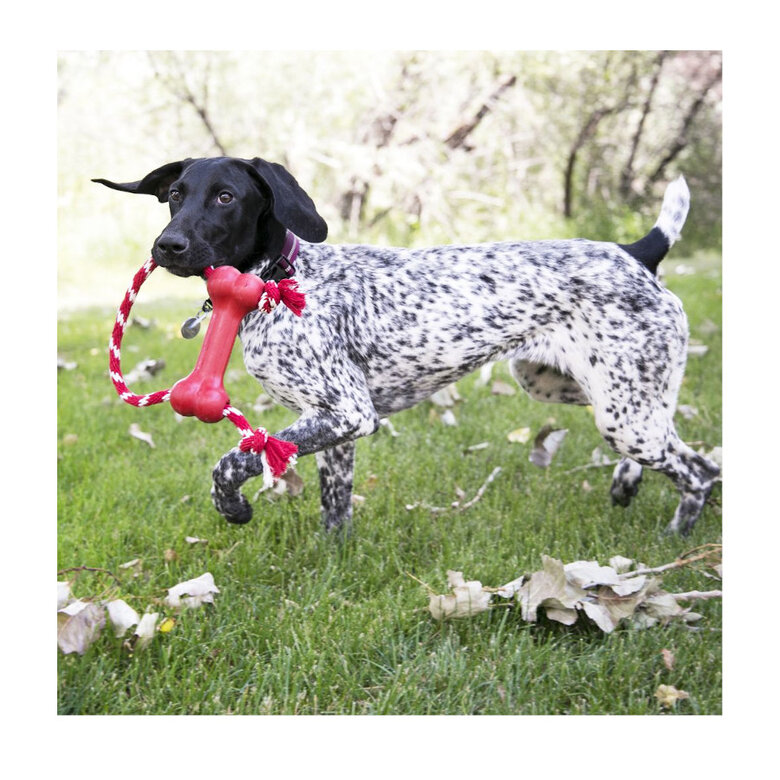 Kong Goodie Bone Osso com corda para cães,  Imagem número 2 Kong Goodie Bone Osso com corda para cães, , large Imagem número 2