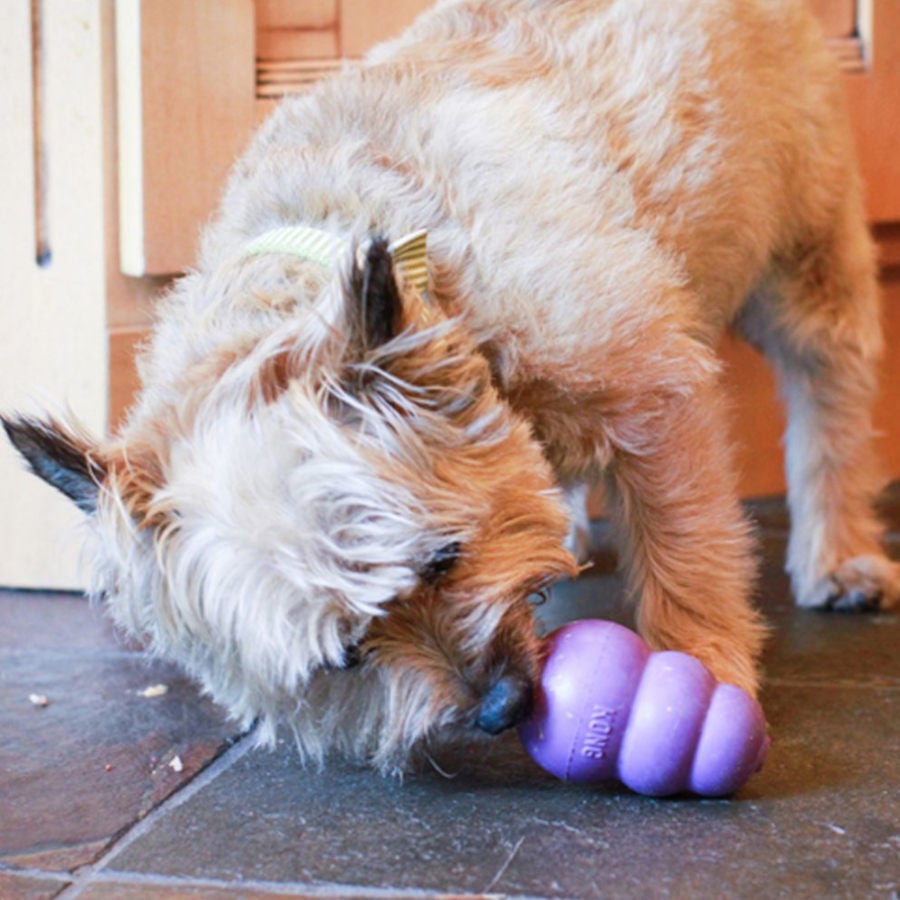 Kong Senior Mordedor para c&atilde;es, , large Imagem n&uacute;mero 2