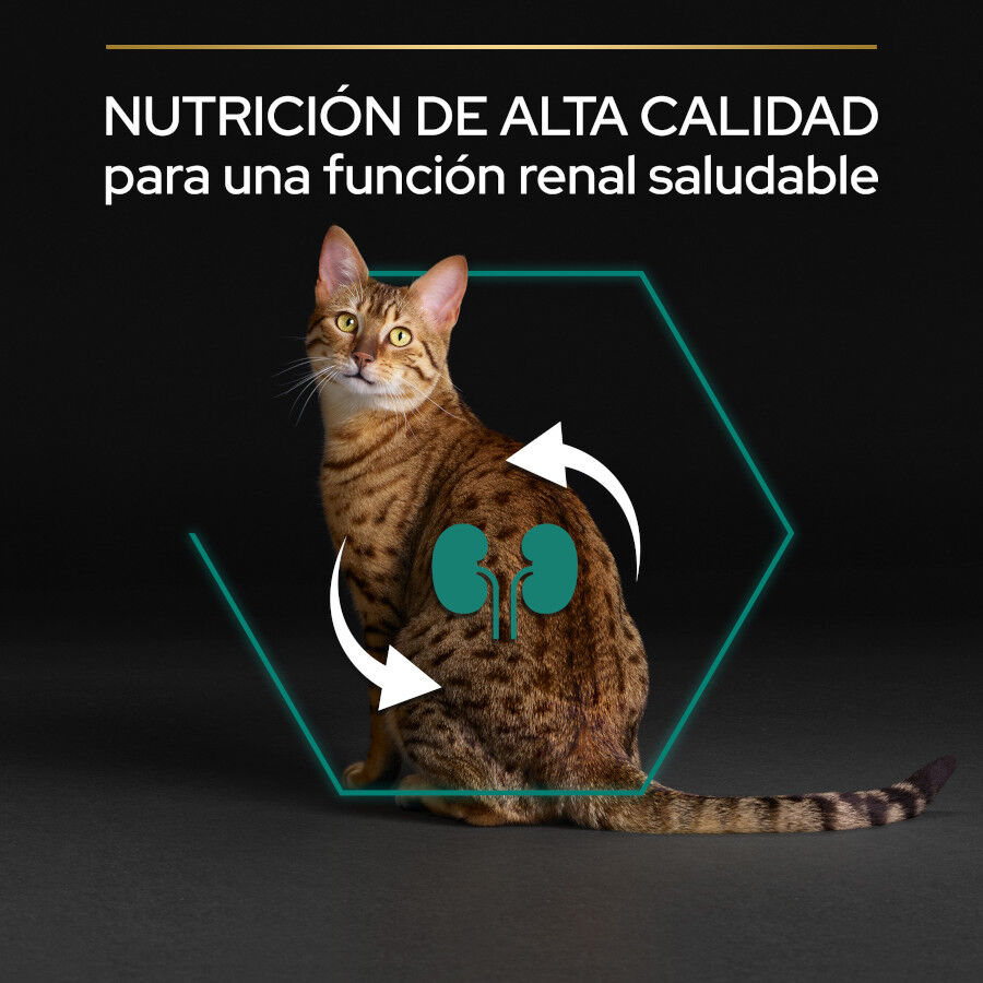 1.5 kg Pro Plan Adult Renal Plus Frango ra&ccedil;&atilde;o para gatos, , large Imagem n&uacute;mero 6