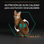 10 kg Pro Plan Adult Renal Plus Frango ração para gatos, , large Indicador imagem número 6