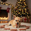 80 g Wonder Christmas Salchichas de Pollo Navideñas para perros, , large Indicador imagem número 2