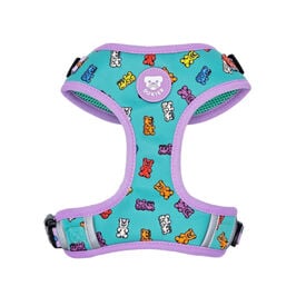 Dukier Gummy Bears Peitoral Ajustável para cães 