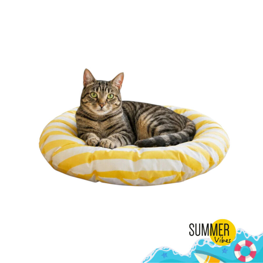 Summer Vibes Round Cool Mat Club Cama Refrescante para gatos, , large Imagem n&uacute;mero 1