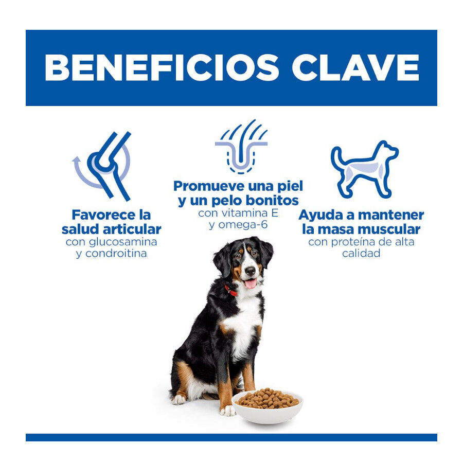 18 kg Hill's Science Plan Large Adult Frango ra&ccedil;&atilde;o para c&atilde;es, , large Imagem n&uacute;mero 6