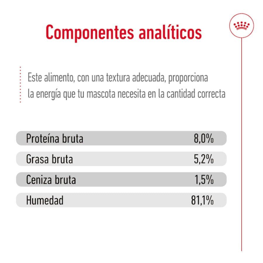 85 g Royal Canin X-Small Adult saquetas com molho para c&atilde;es, , large Imagem n&uacute;mero 5