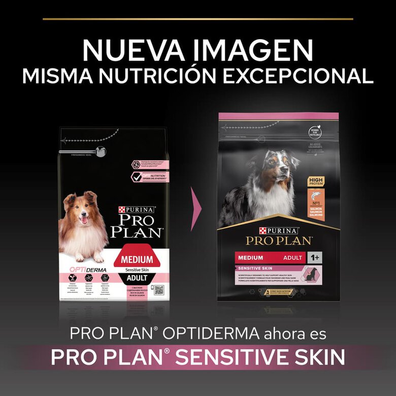Pro Plan Medium Adult Sensitive OptiDerma Salmão ração para cães, , large image number null