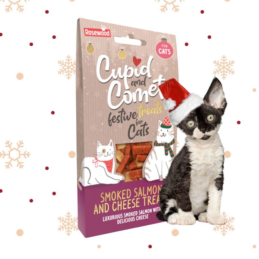 70 g Rosewood Biscoitos Cupid & Comet de Salm&atilde;o fumado com queijo para gatos, , large Imagem n&uacute;mero 2