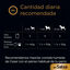 4 saquetas x 100 g Cesar Mix de Carnes em Molho Saquetas para cães - Multipack, , large Indicador imagem número 6