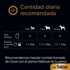 Cesar Mix de Carnes em Molho Saquetas para cães - Multipack, , large image number null